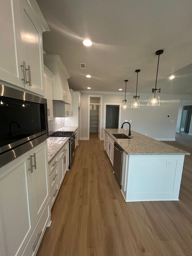 Building Photo - Beautiful Modern Home in Pea Ridge!