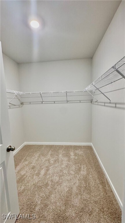 Building Photo - 17710 Shade Tree Loop
