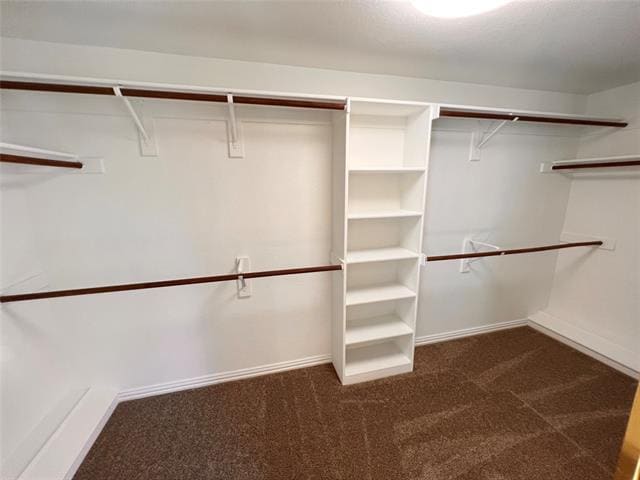 Building Photo - 2312 Eldger Dr