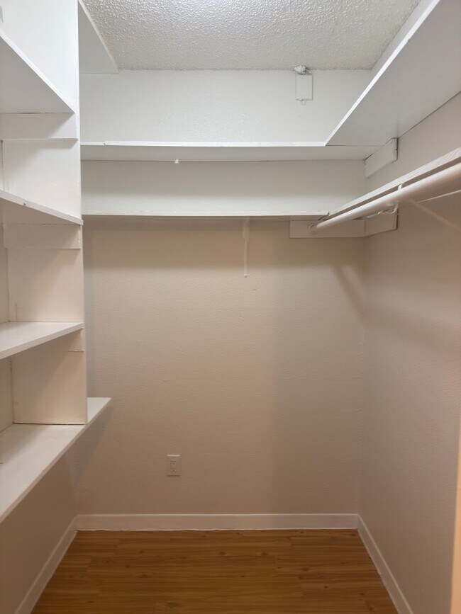 Building Photo - Duplex Blocks from Downtown and Town Lake