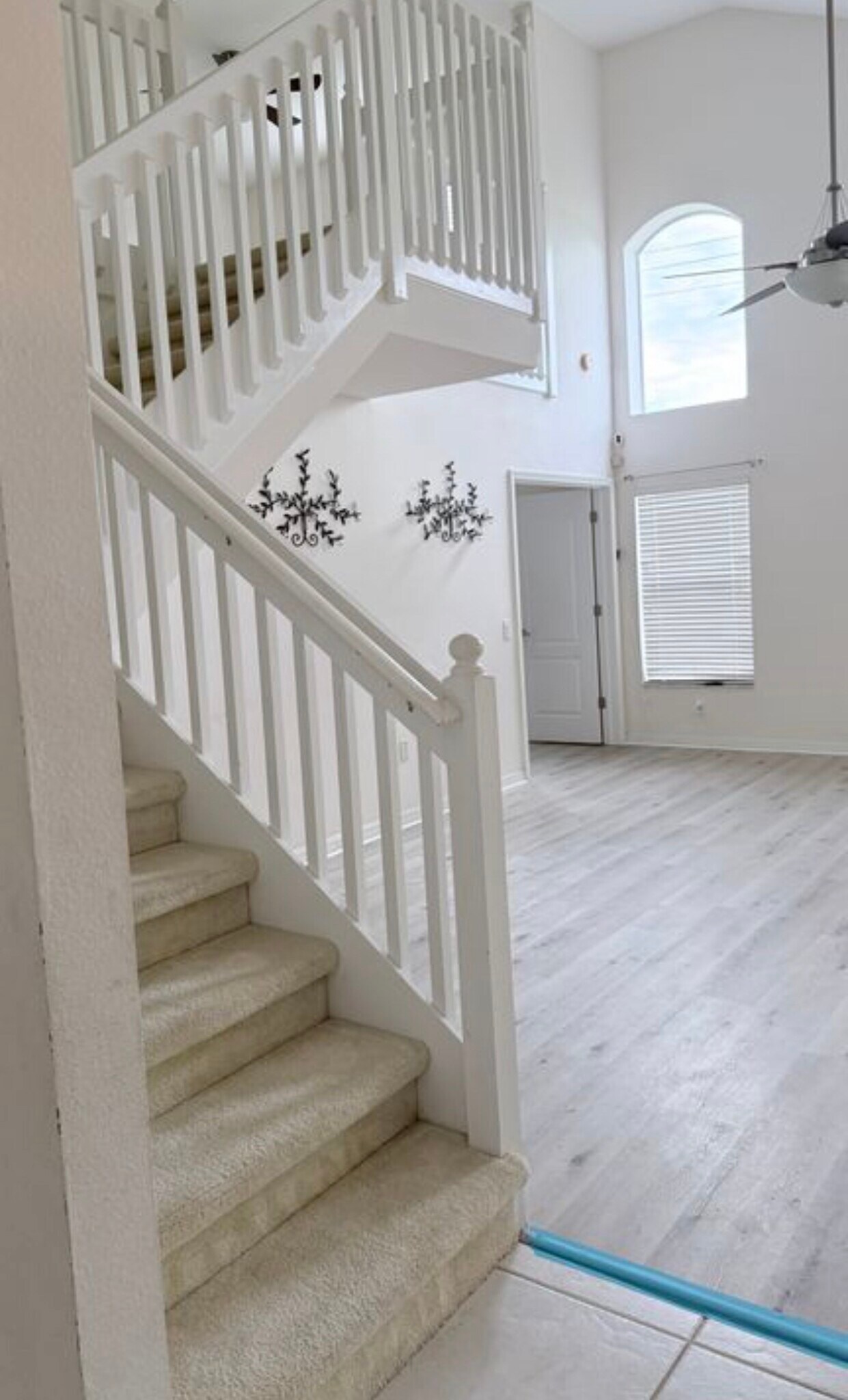 Building Photo - 4319 Balmoral Ct