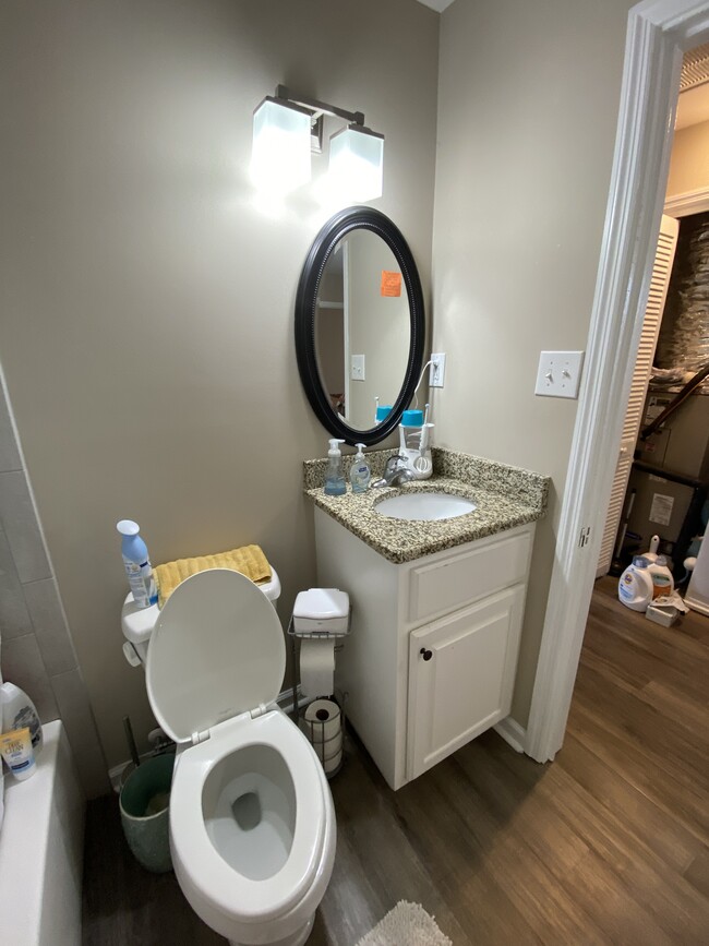 Granite bath countertop - 604 1/2 Ward Avenue N.E.