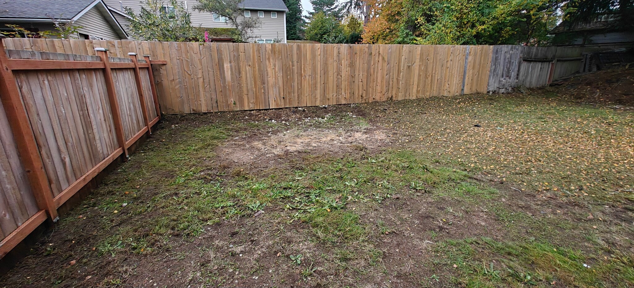Yard - 15010 26th Ave NE