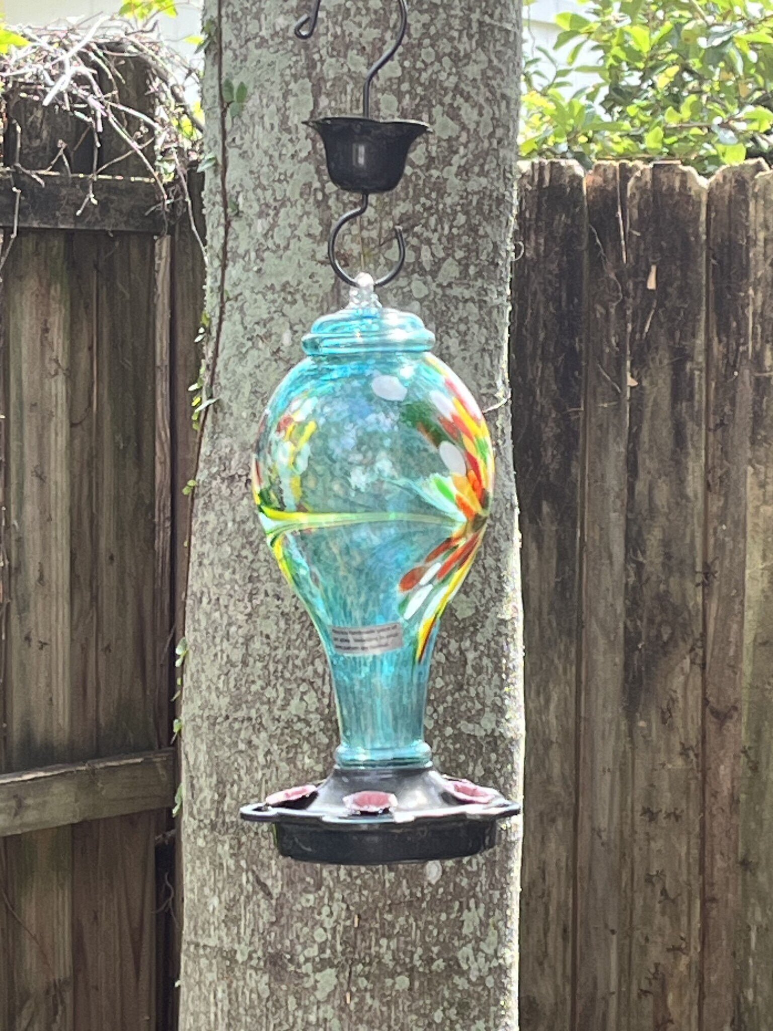 Hummingbirds Welcome! - 233 Emory Pl