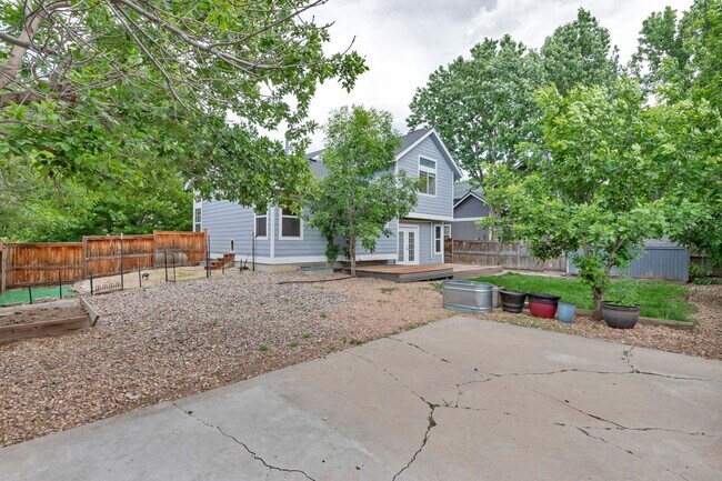Building Photo - Spacious Home in Castle Rock