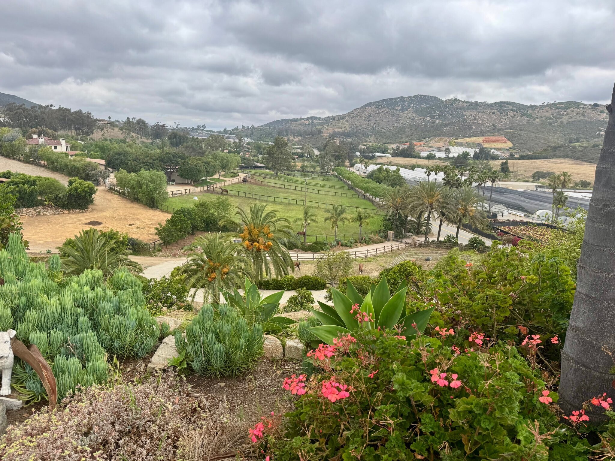 Building Photo - 3026 N Twin Oaks Valley Rd