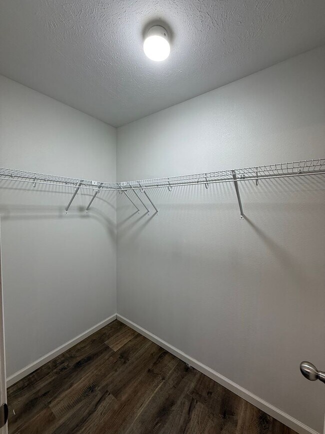 Building Photo - NEWLY REDESIGNED 4BR Basement home!!!!