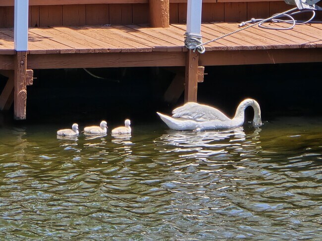 Building Photo - 26 Compass Rd