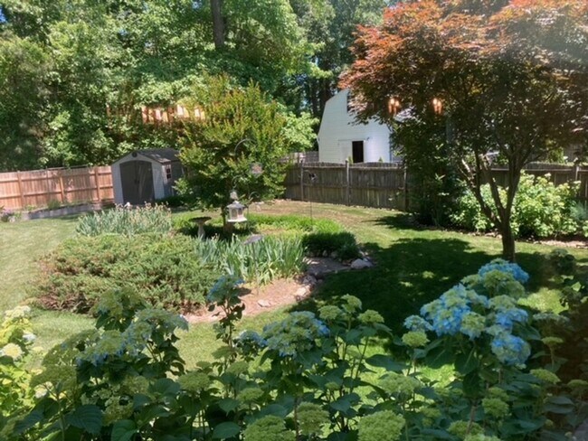 Building Photo - 117 Runaway Ln