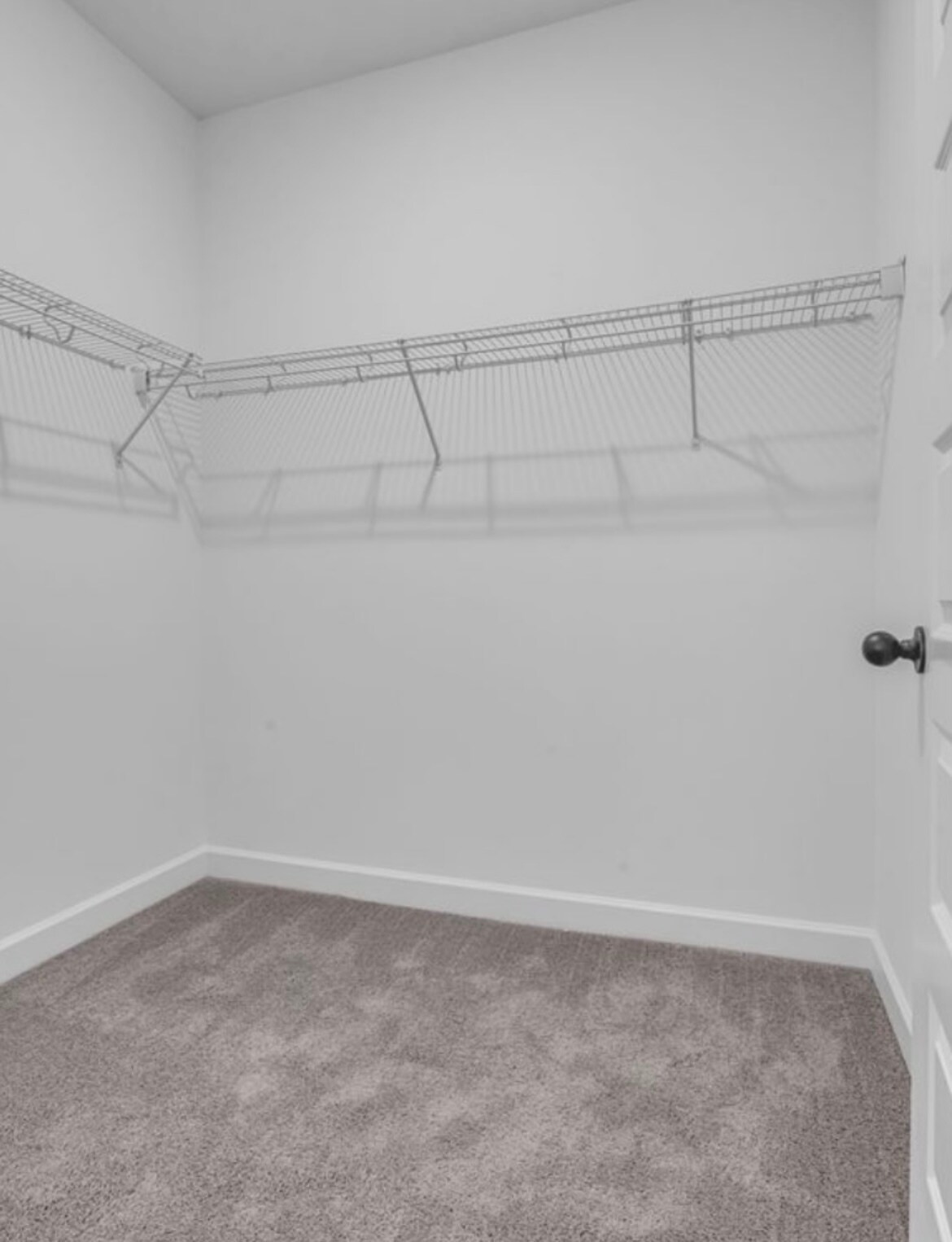 Building Photo - 141 Dameron Pvt Dr