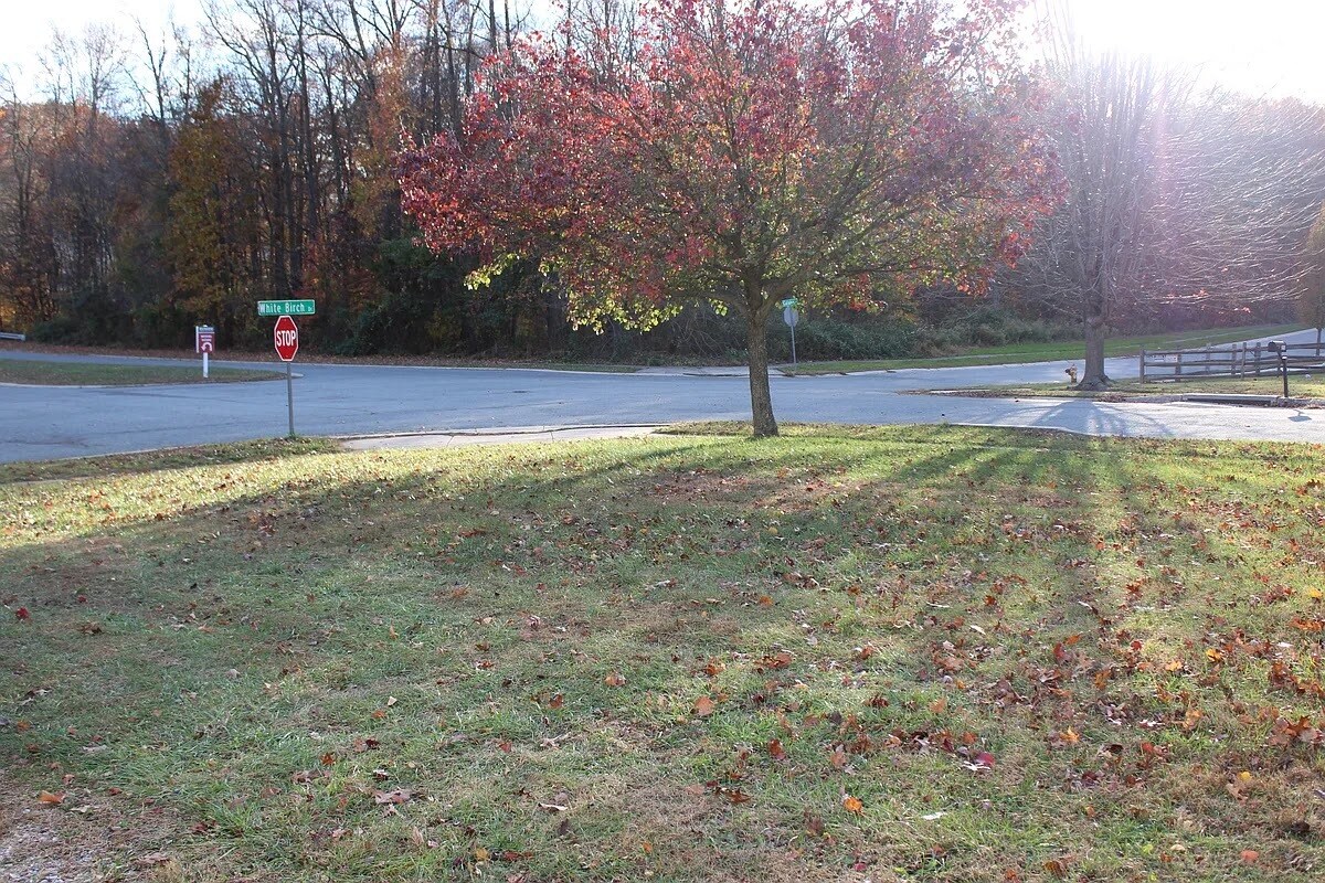 Building Photo - 7 White Birch Dr