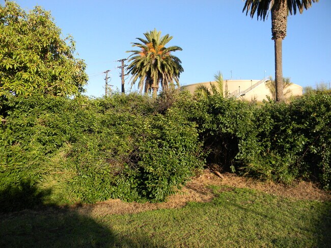 Building Photo - 26025 Cypress St