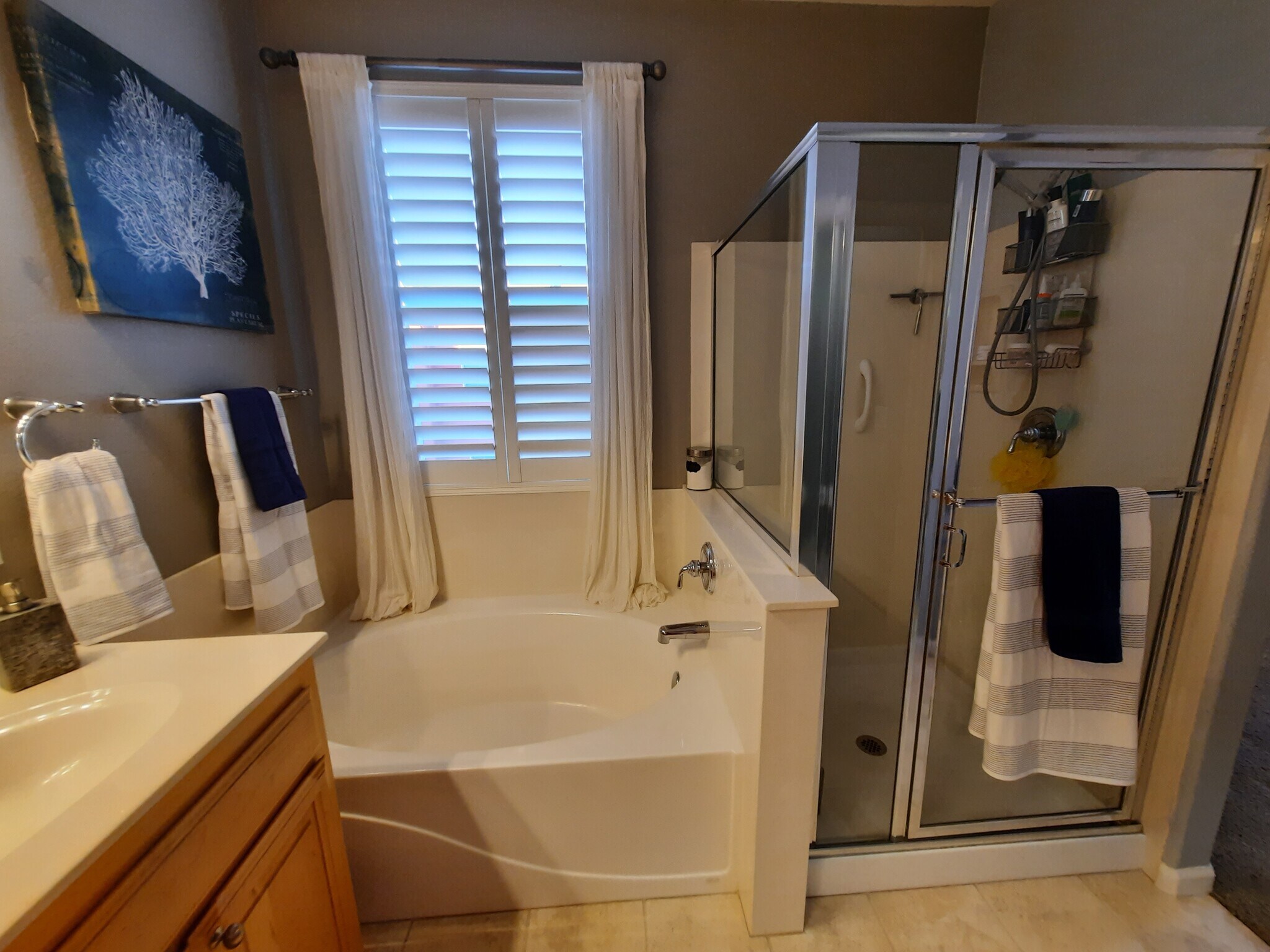 Master Bath - 1764 Camino Real Way