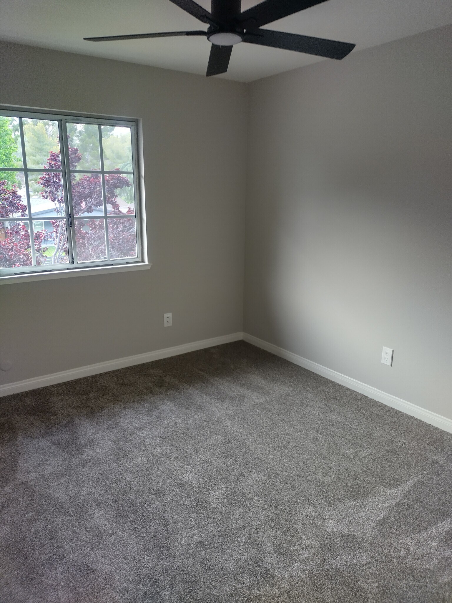 Building Photo - 29433 Abelia Rd