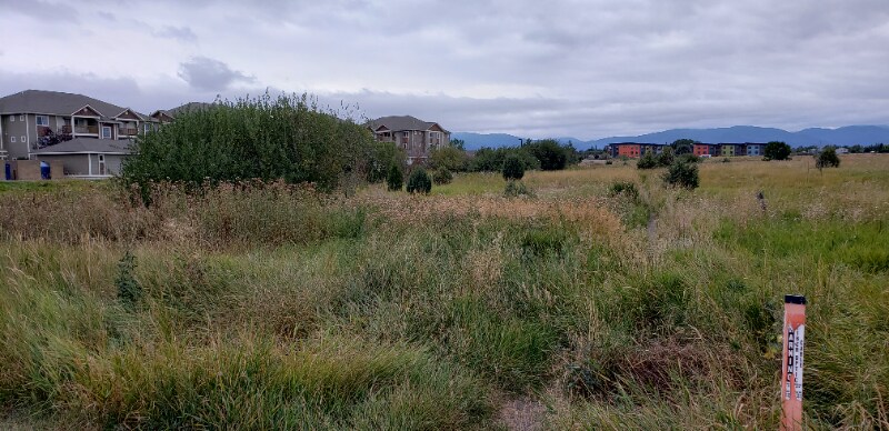 Building Photo - 2240 Baxter Ln