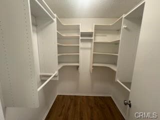 Building Photo - 24362 Woodwalk Rd