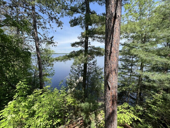 Building Photo - 29366 Pine Ridge Rd