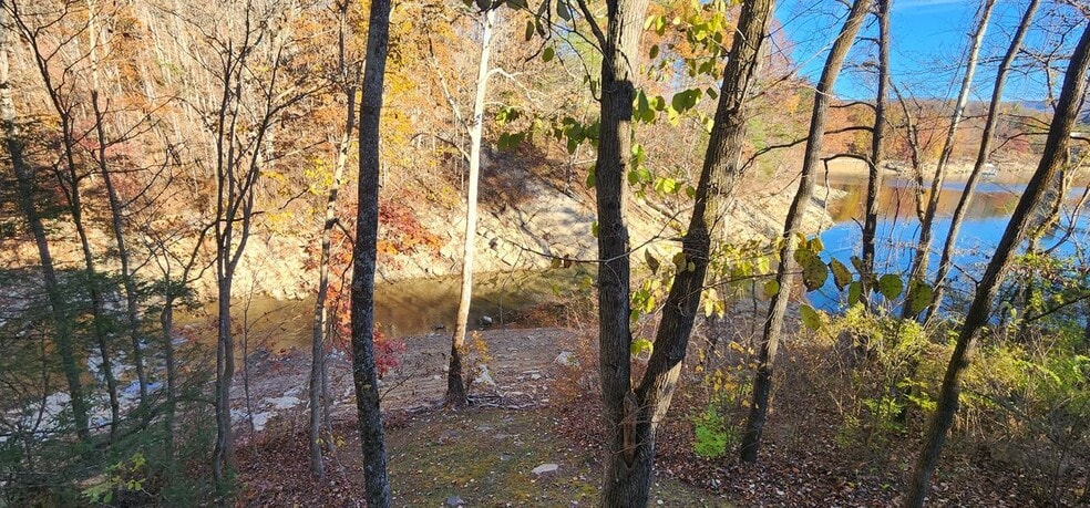 Building Photo - 22089 Parks Mill Rd