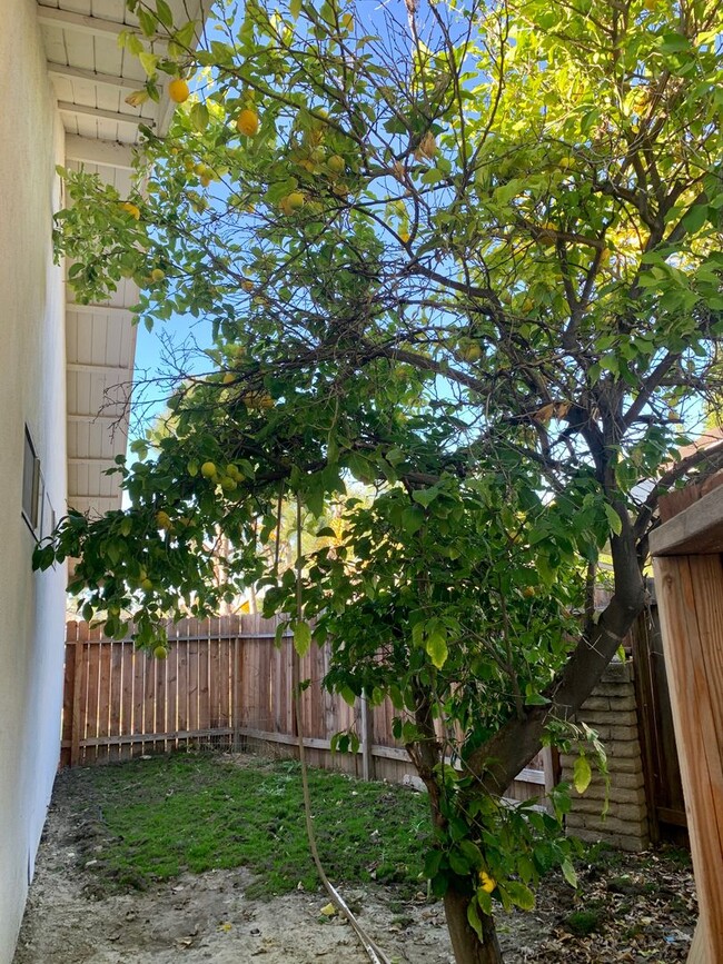 Building Photo - Charming Single Story Mission Viejo Home A...