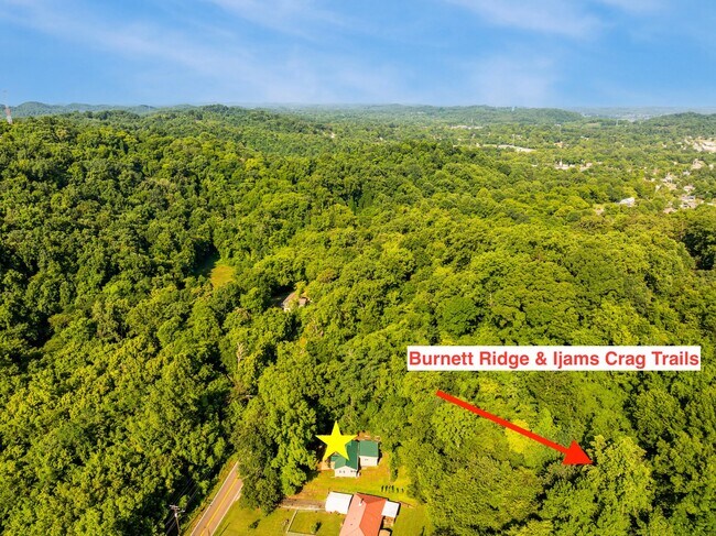 Building Photo - 4516 Sevierville Pike