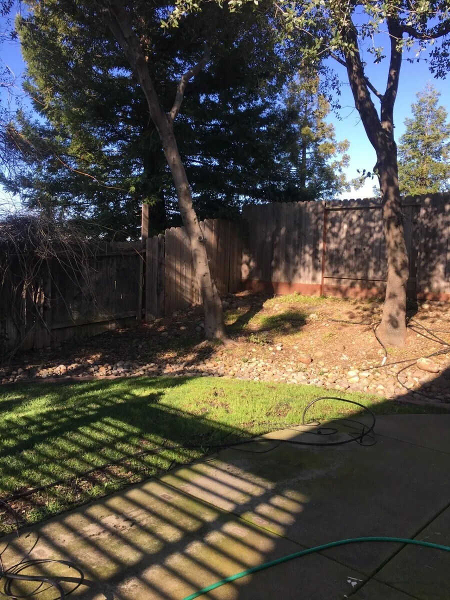 Backyard - 3209 Burlwood Ct