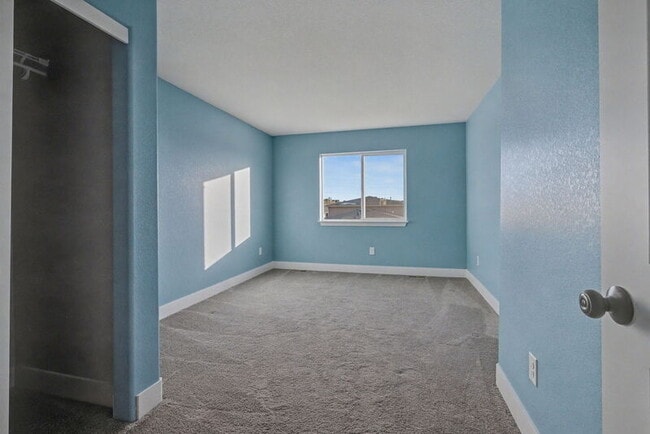 Building Photo - 20296 Tall Forest Ln