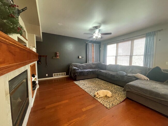 Building Photo - Bellevue Home For Rent!