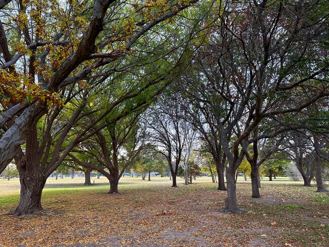 Building Photo - 2009 43rd St