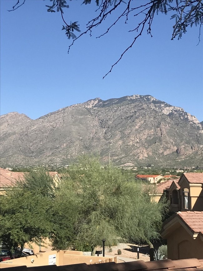 Building Photo - 7050 E Sunrise Dr