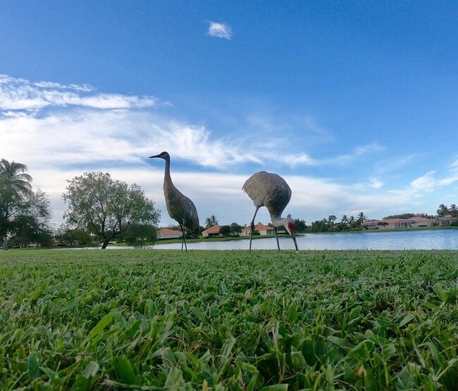 Building Photo - 2861 Livingston Ln