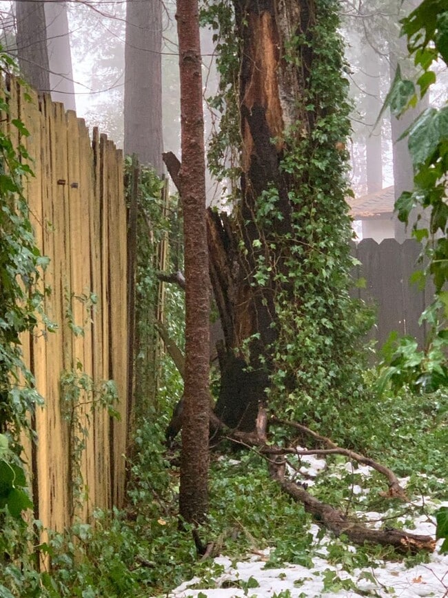 Building Photo - 2 Bedroom one bath Manufactured home on Cul De Sac