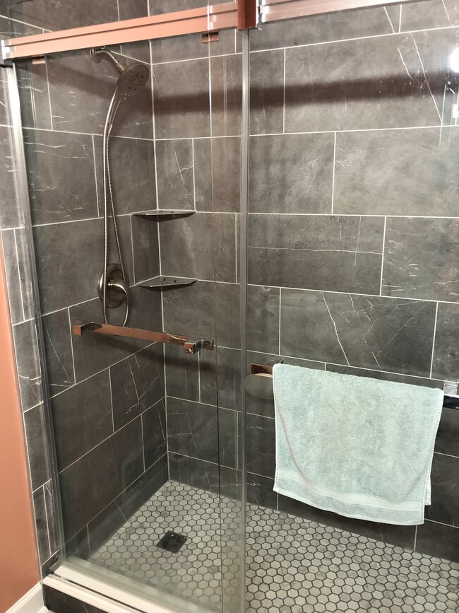 Tiled shower in hall bathroom - 12898 Lincoln Lake Ct