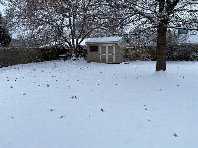 Backyard and Shed - 1010 Morrison Blvd