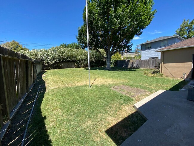 Building Photo - Charming 3 Bedroom Home in Quiet Tree-Line...
