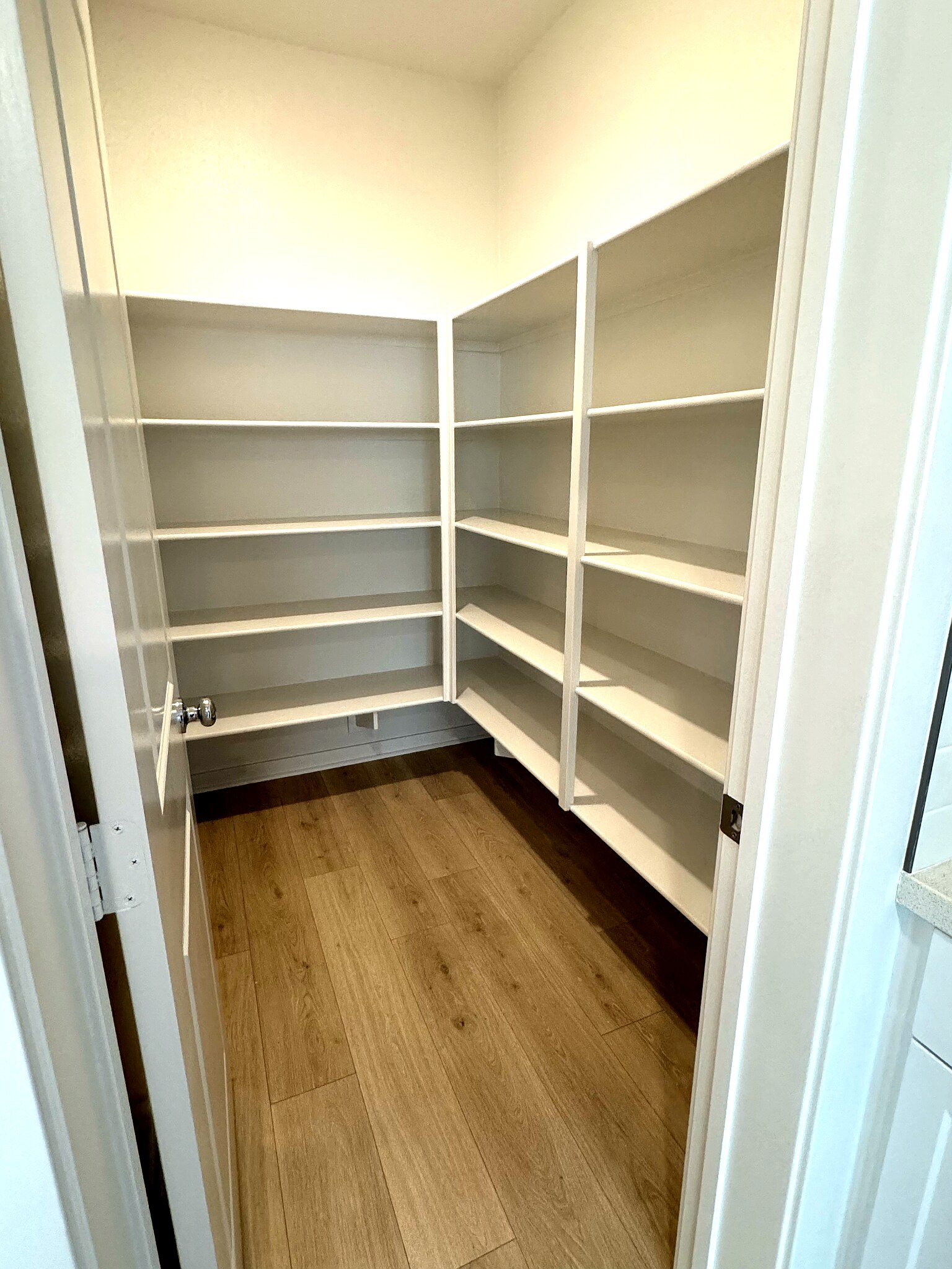 Kitchen Walk-in Pantry - 2288 Panama Dr