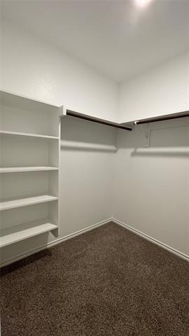 Building Photo - 2914 Jasmine Dr