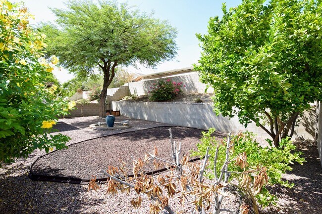 Building Photo - Bright & Open SE Tucson 3 Bed 2 Bath with ...