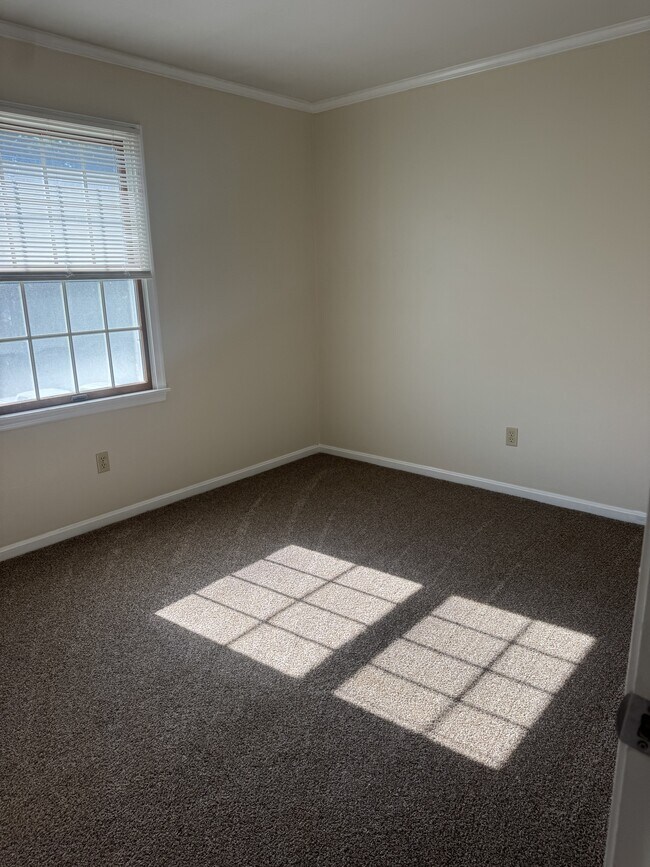 Building Photo - 1017 Baccharis Dr