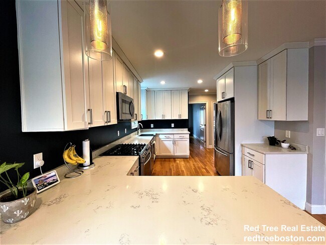 Building Photo - 62 Horace St