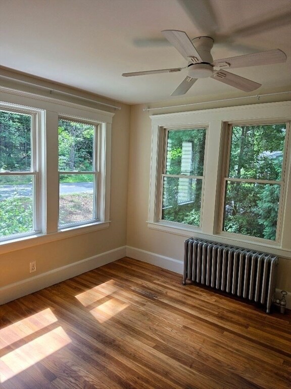 Building Photo - 441 Walpole St
