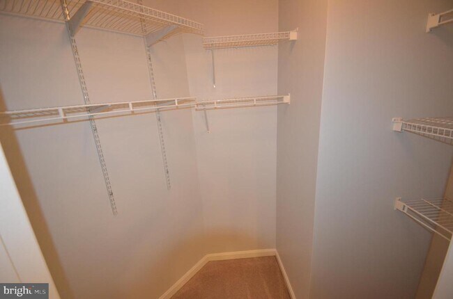 Building Photo - 4551 Strutfield Ln