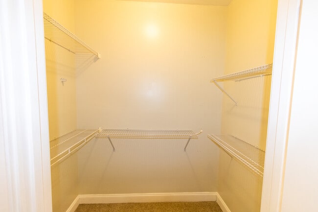 Building Photo - 906 Monarch Cir
