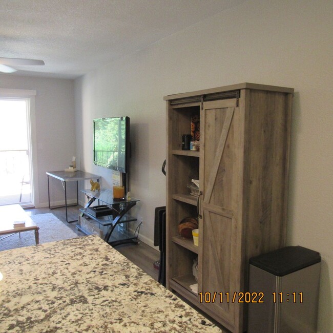 Building Photo - Short Term Rental - Condo