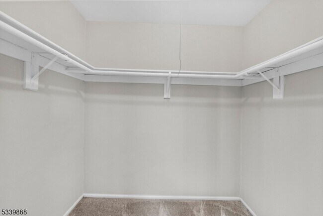 Building Photo - 231 Sutphin Ln
