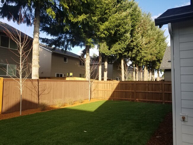 Backyard - 12048 NE 109th St