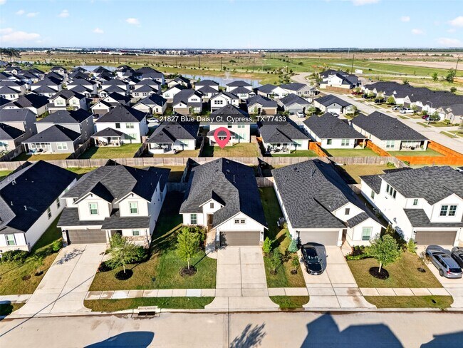 Building Photo - 21827 Blue Daisy Ct