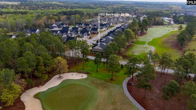 Building Photo - 102 Backspin Dr