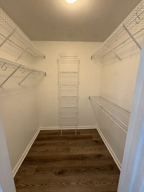 Building Photo - 2502 Bluff View Ct