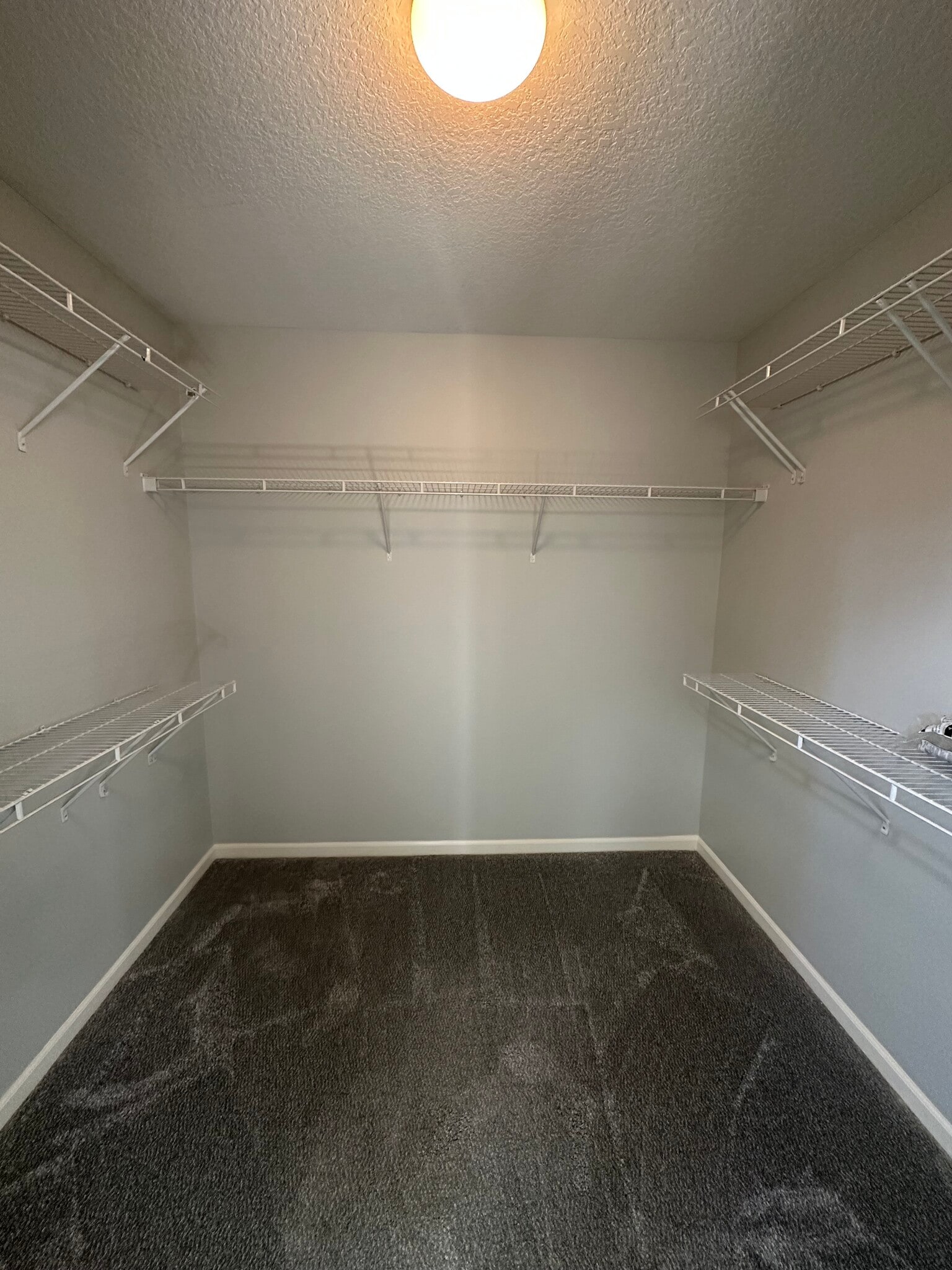 Master Walk In Closet - 411 Treeline Cv