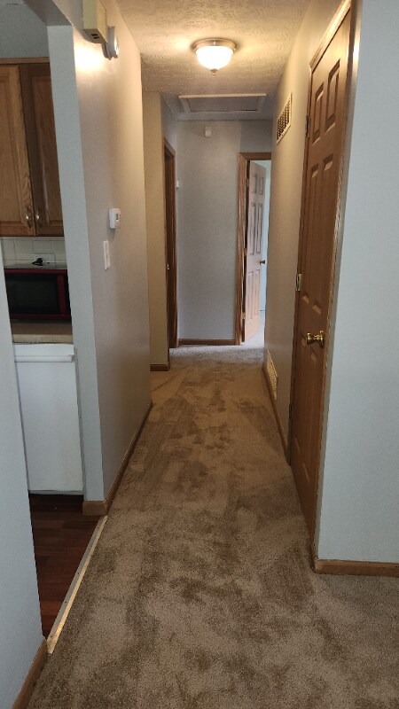 Building Photo - 620 Mistletoe Ct